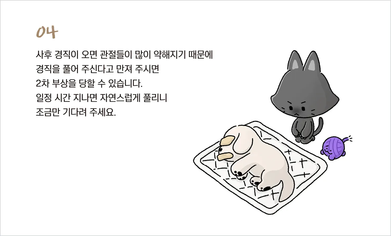 기초 수습 4단계 — 사후경직은 억지로 풀지 않기