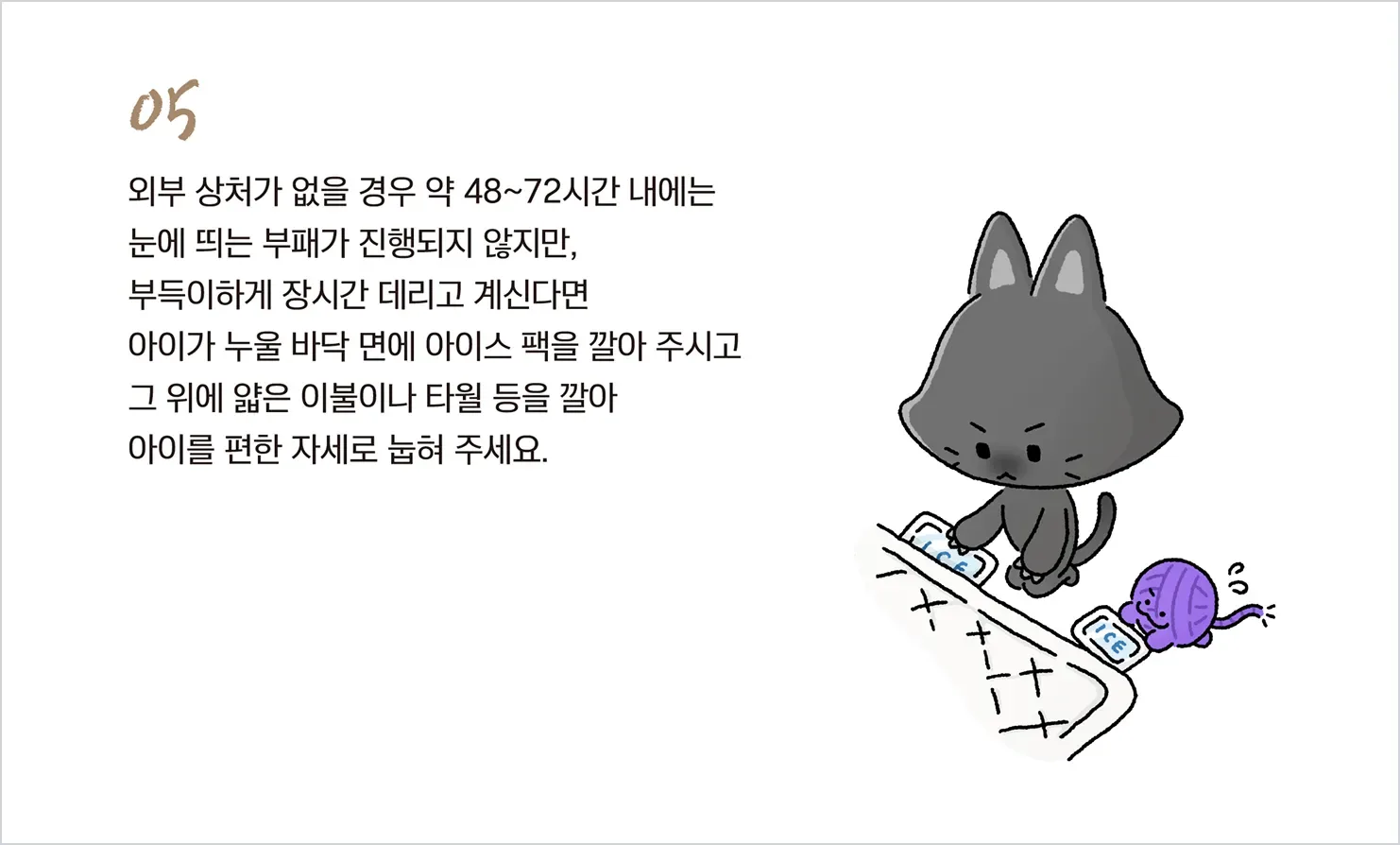 기초 수습 5단계 — 아이스팩 위에 얇은 이불을 깔고 눕히기