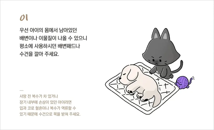 회색 고양이가 배변 패드 위에 잠든 듯 누운 흰 아이 곁에 앉아 있고, 몸에서 나올 수 있는 배변과 이물질 때문에 패드나 수건을 깔아 주라고 적힌 포포즈 안내 그림 01