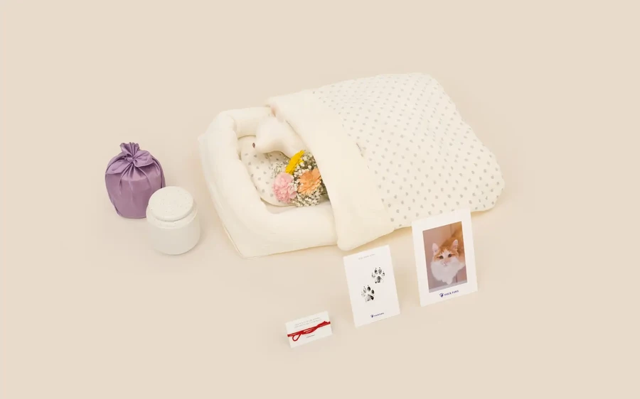 관과 꽃다발을 갖춘 포포즈 고양이 전용 장례 구성