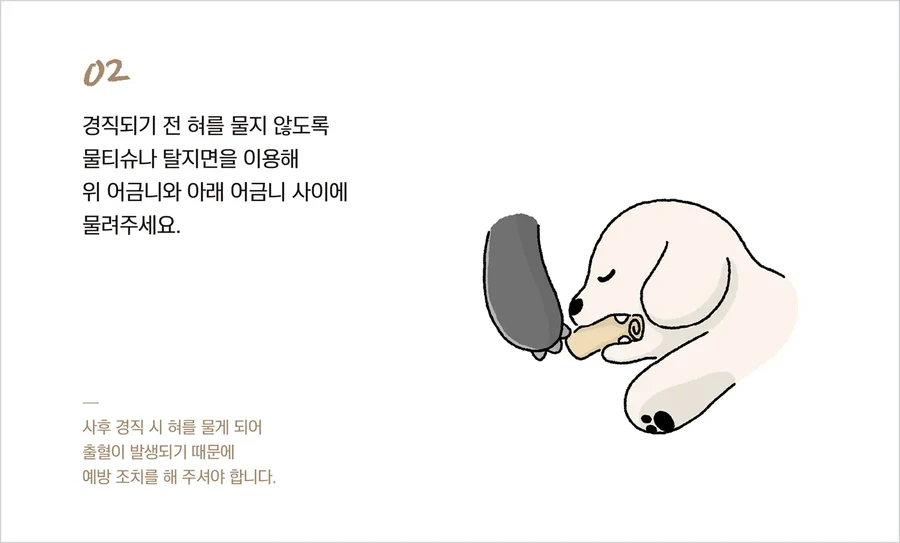 고양이의 몸을 가지런히 모아 두는 자세를 그린 안내 그림