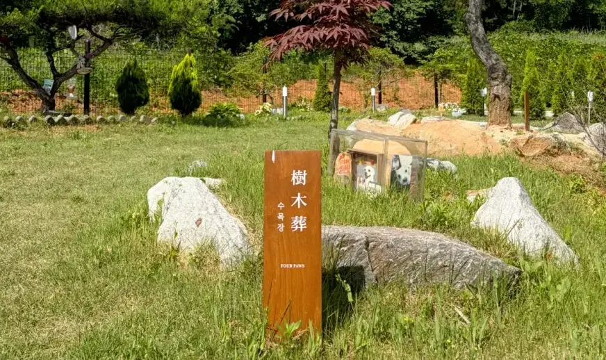 나무와 바위 명패가 어우러진 포포즈 화성 2호점 수목장 구역