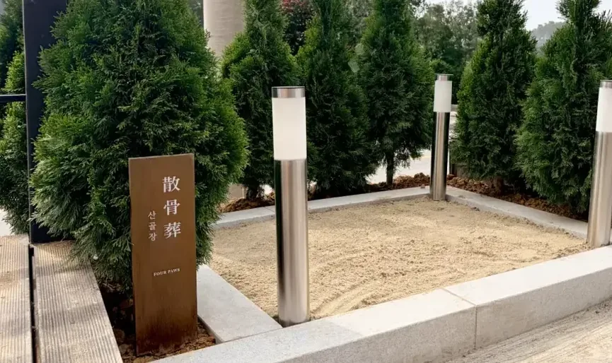 강아지 산골이 진행되는 포포즈 김해점 산골장 구역