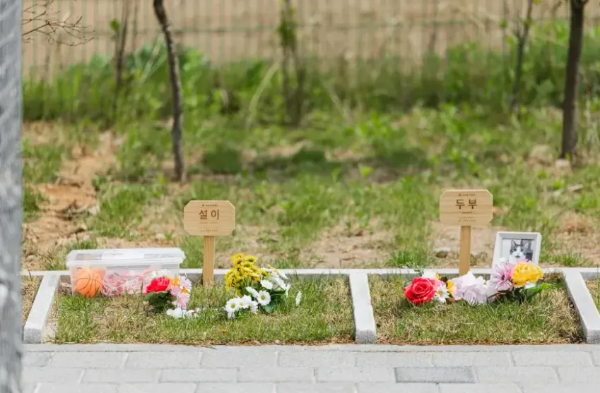 잔디장 전경 — 푸른 잔디 위의 야외 안치 공간