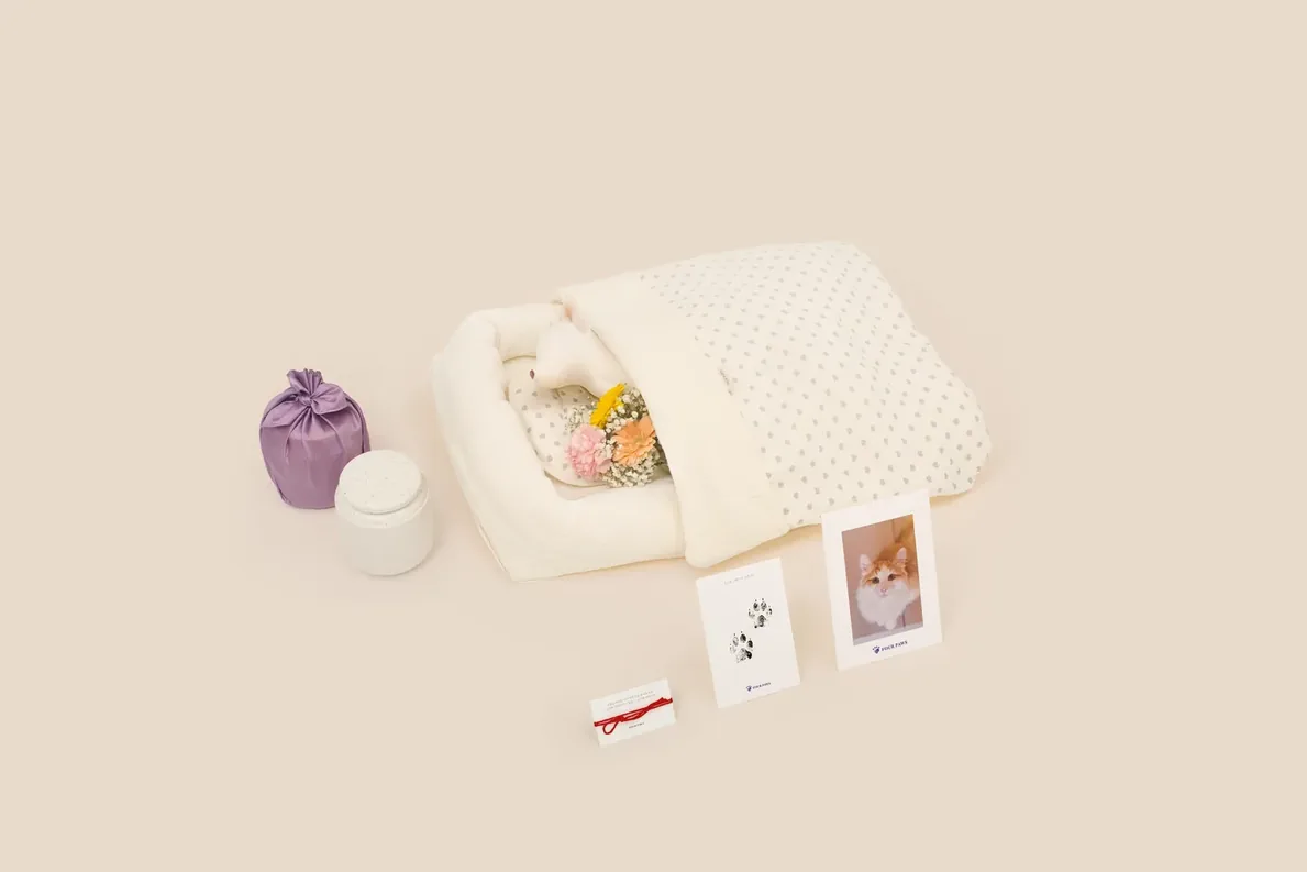 도톰한 크림색 방석 위 하트 무늬 이불을 덮고 작은 꽃다발을 안은 하얀 천 인형, 그 옆 보라색 보자기와 흰 도자기 유골함, 붉은 실 카드·발도장 카드·주황 털 고양이 사진 카드가 놓인 포포즈 고양이 전용 장례 구성