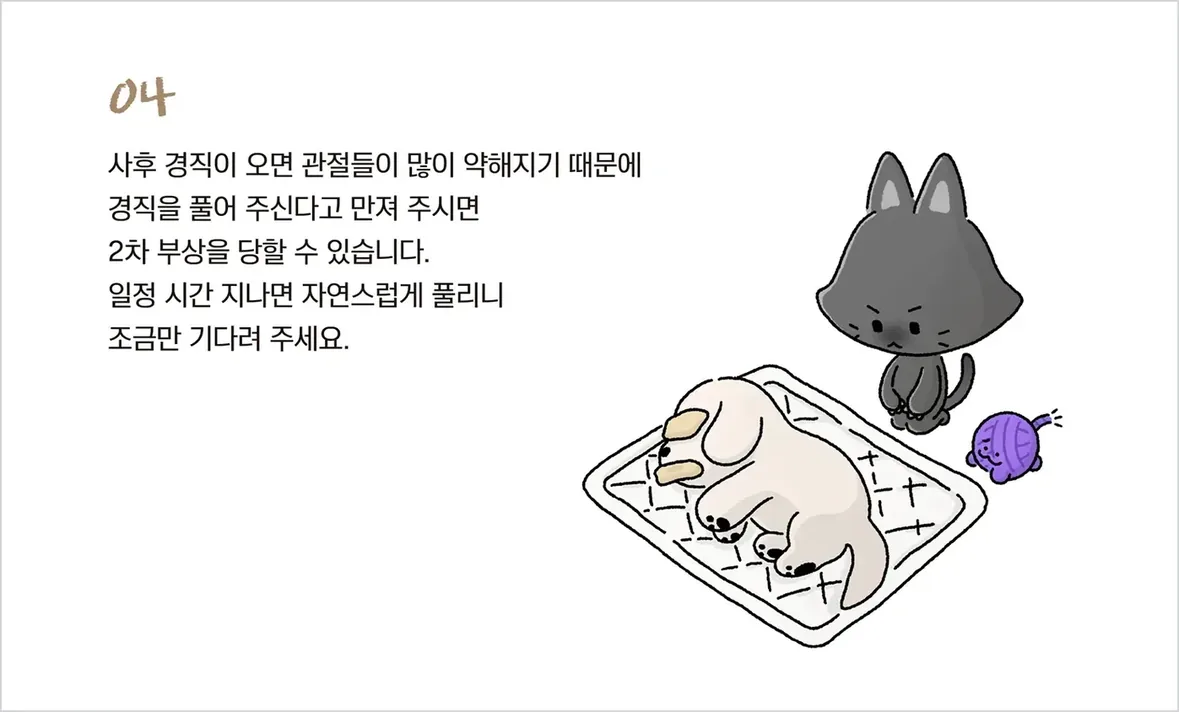 고양이 사후경직 — 눈을 덮은 채 패드 위에 누운 아이 곁에 회색 고양이가 앉아 지켜보는 안내 그림