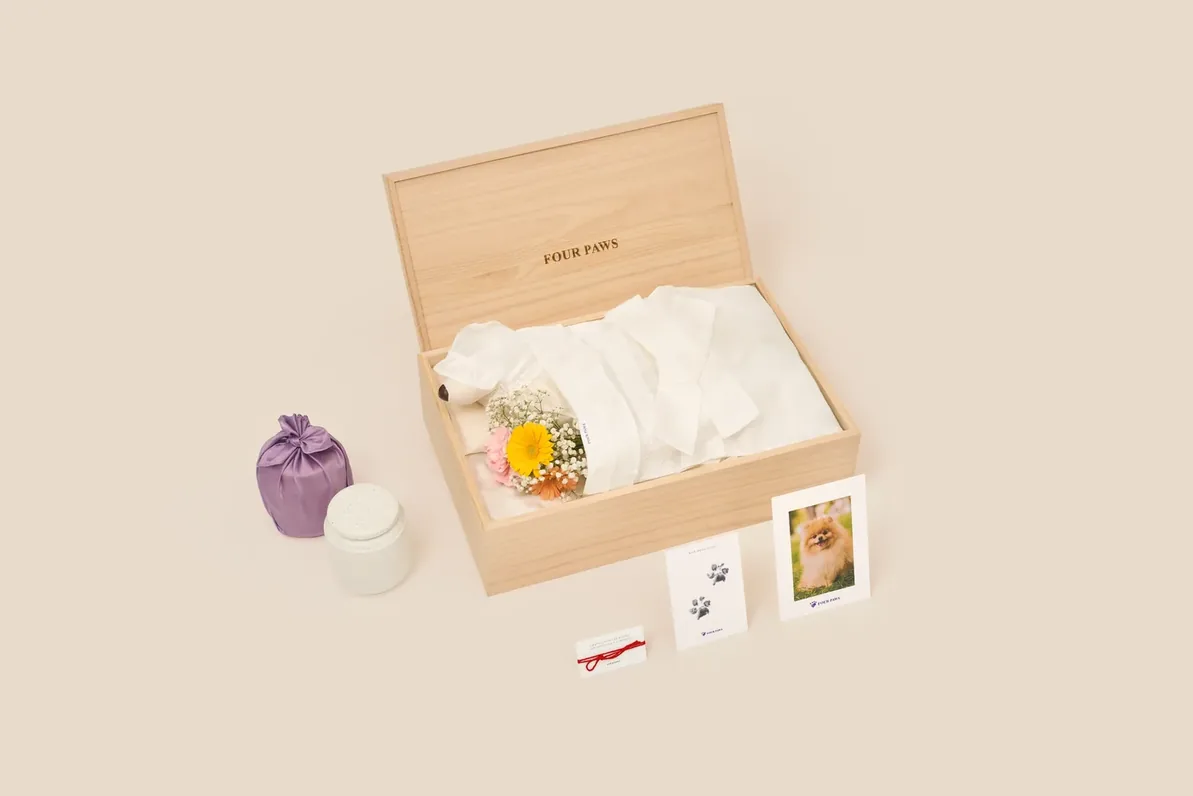 흰 인견 수의와 머리싸개를 입은 강아지 모형이 뚜껑을 세워 연 오동나무 관에 누워 있고, 곁에 작은 꽃다발과 보라 보자기에 싼 유골함, 발도장 카드와 사진 액자가 놓인 관 장례 구성