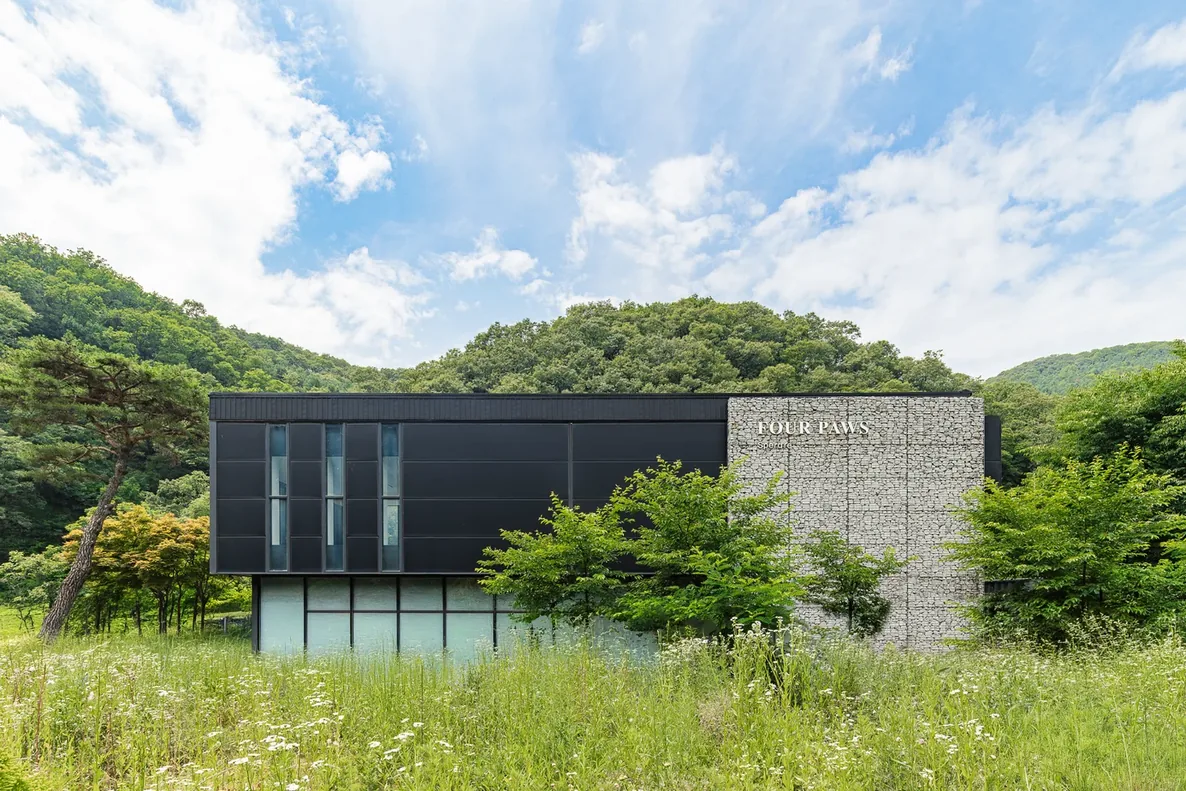 경기도 가족이 시각에 맞춰 찾는 양주점, 돌망태 벽과 검은 외벽이 숲과 풀밭 사이에 선 건물