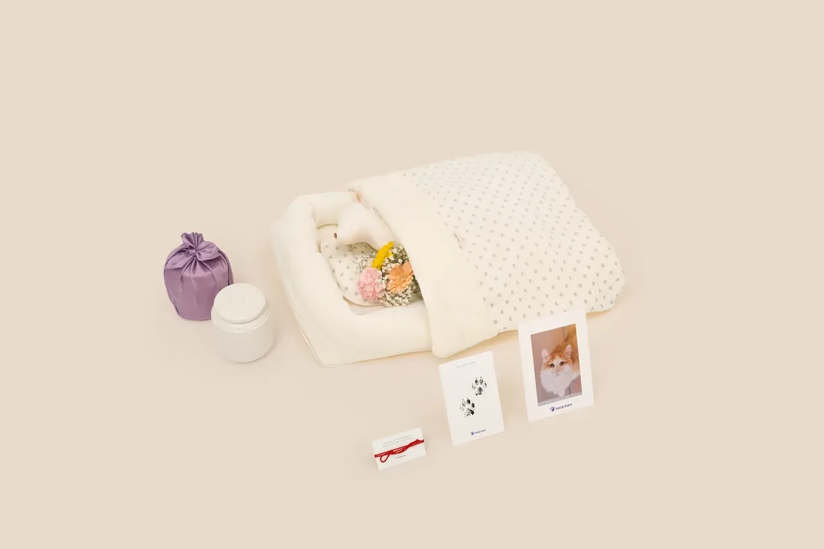 화성 고양이 장례식장 — 흰 누빔 이불 모양의 일체형 관에 작은 동물 모형이 눕고 곁에 꽃다발, 보라색 보자기에 싸인 유골함과 흰 도자기 유골함, 발도장 카드와 고양이 사진 카드가 놓인 고양이 전용 장례 구성