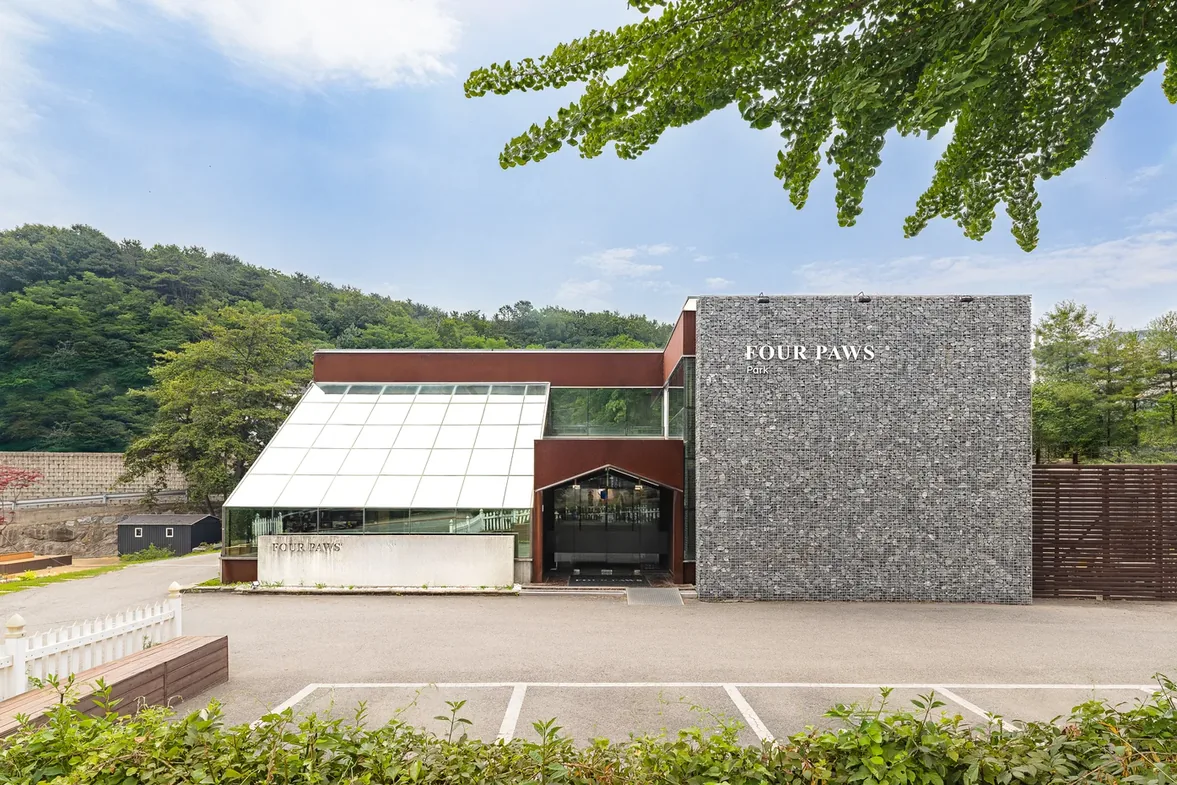 인천 애견 장례식장 — 은행잎 그늘 아래 돌망태 벽과 주차 칸이 보이는 포포즈 김포점