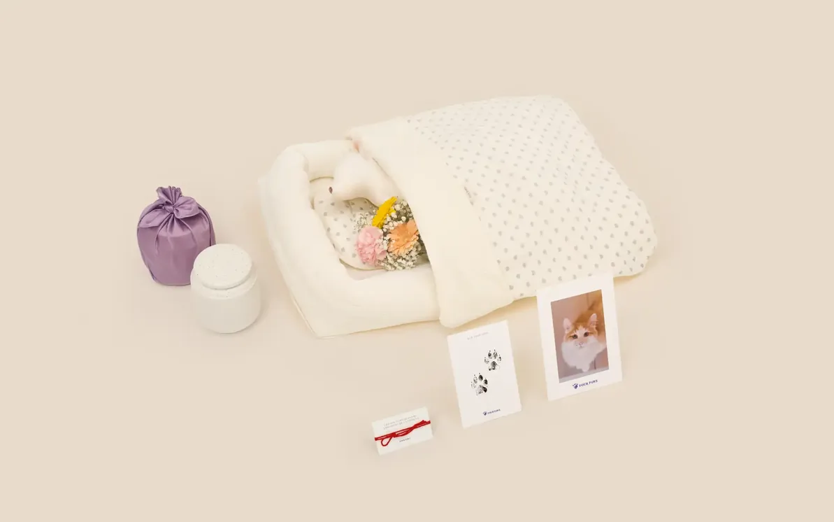 부평 고양이 가족이 고를 수 있는 고양이 전용 관과 작은 꽃다발