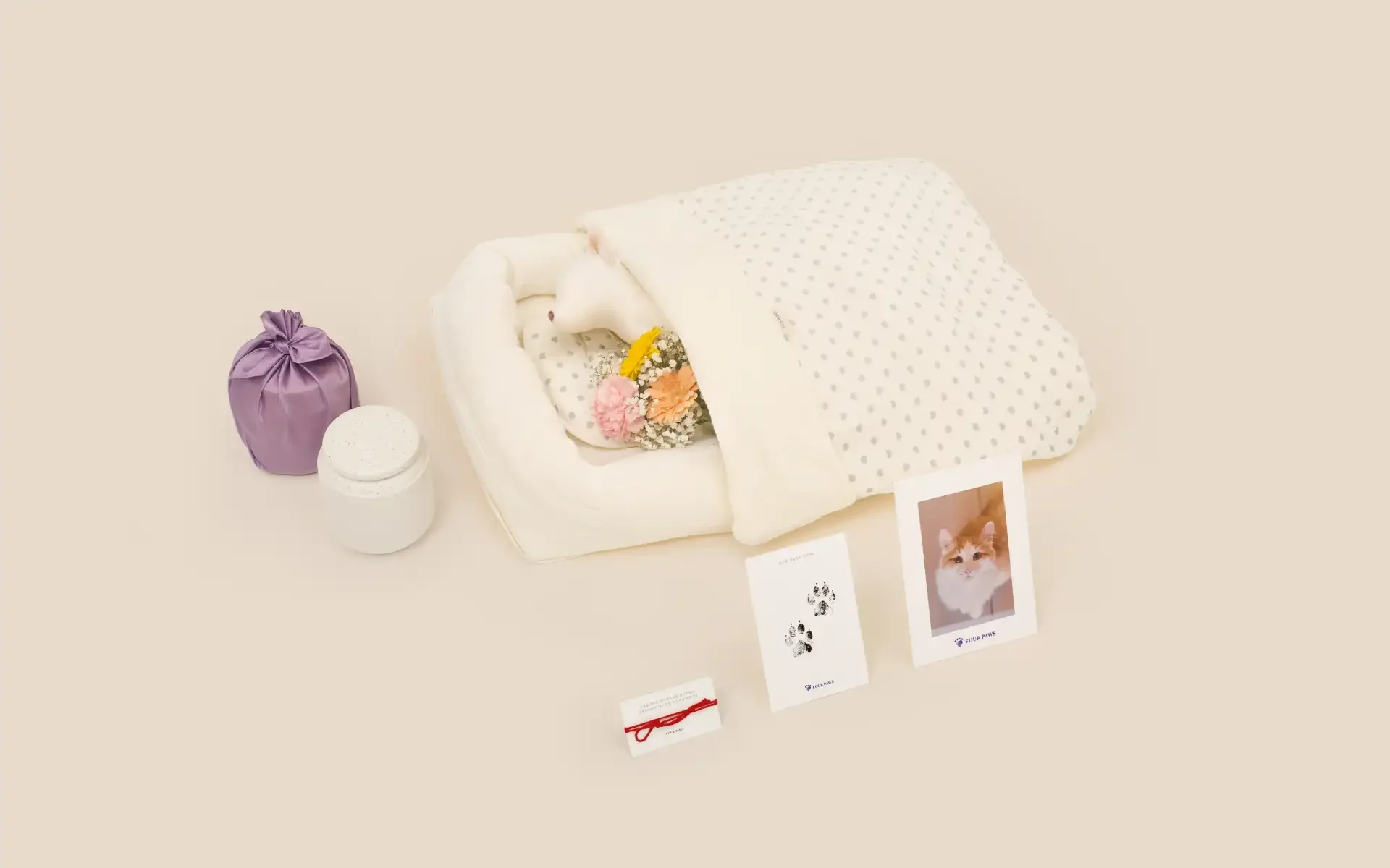 고양이 화장 비용 — 전용 구성·유골·안치까지 안내 대표 이미지