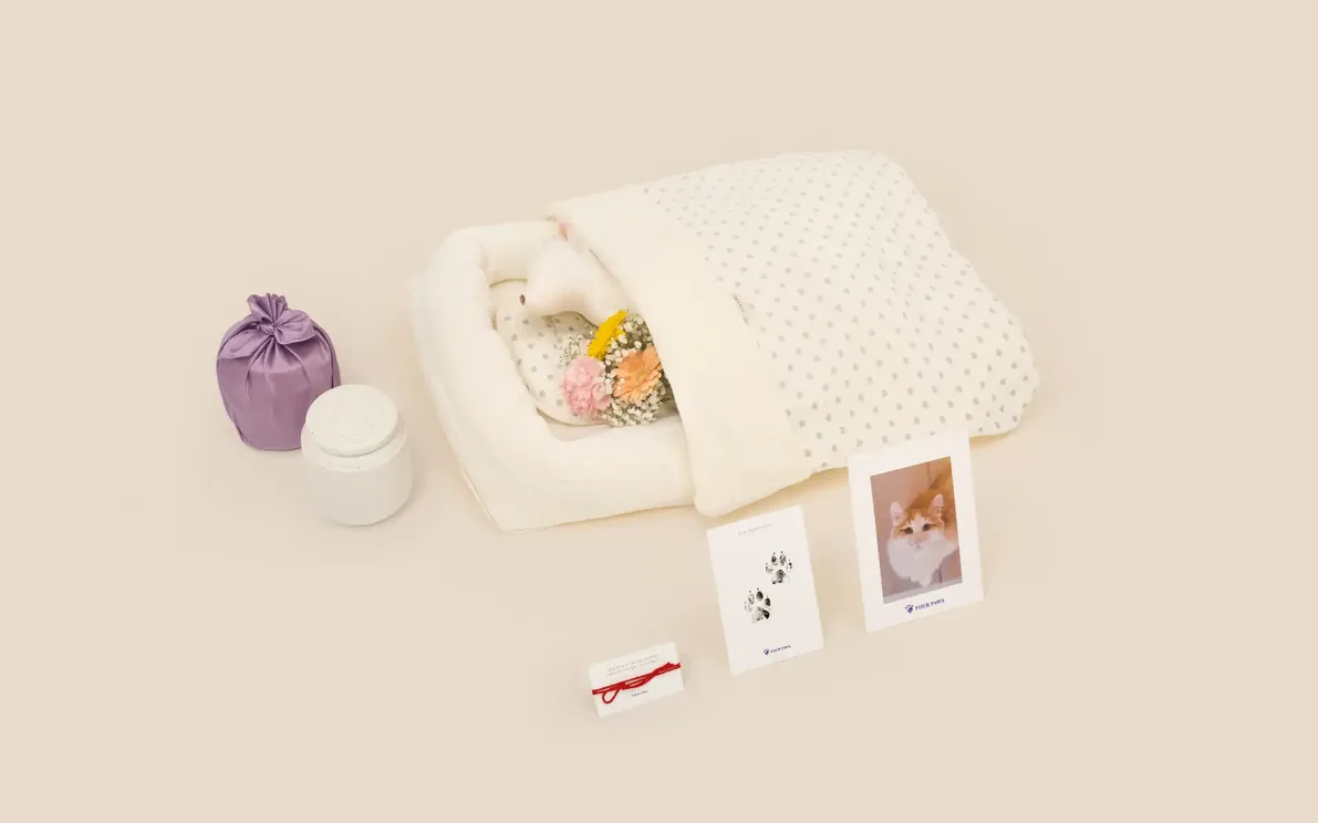 성동 가족이 함께 살펴보는 고양이 전용 장례 구성