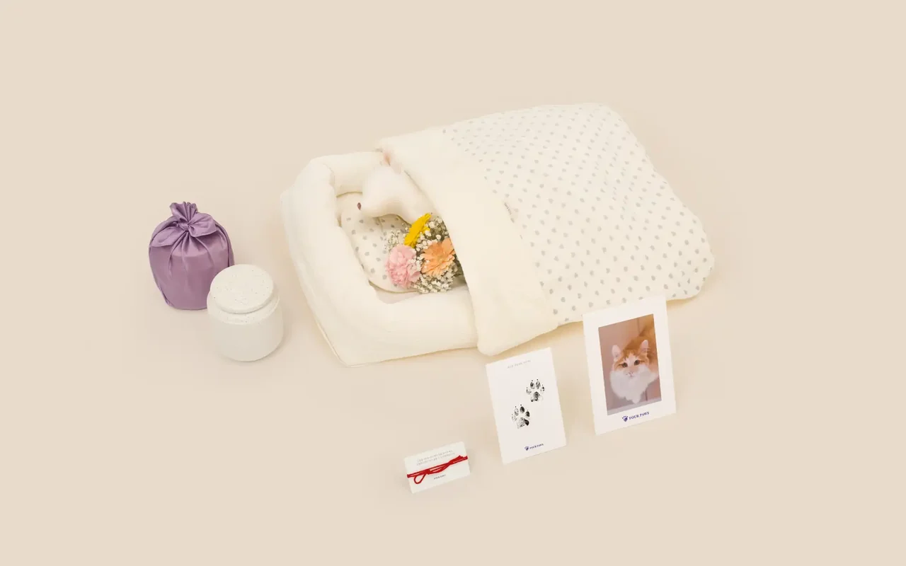 고양이 전용 장례 구성 — 도트 무늬 이불과 전용 관, 유골함, 추모 카드