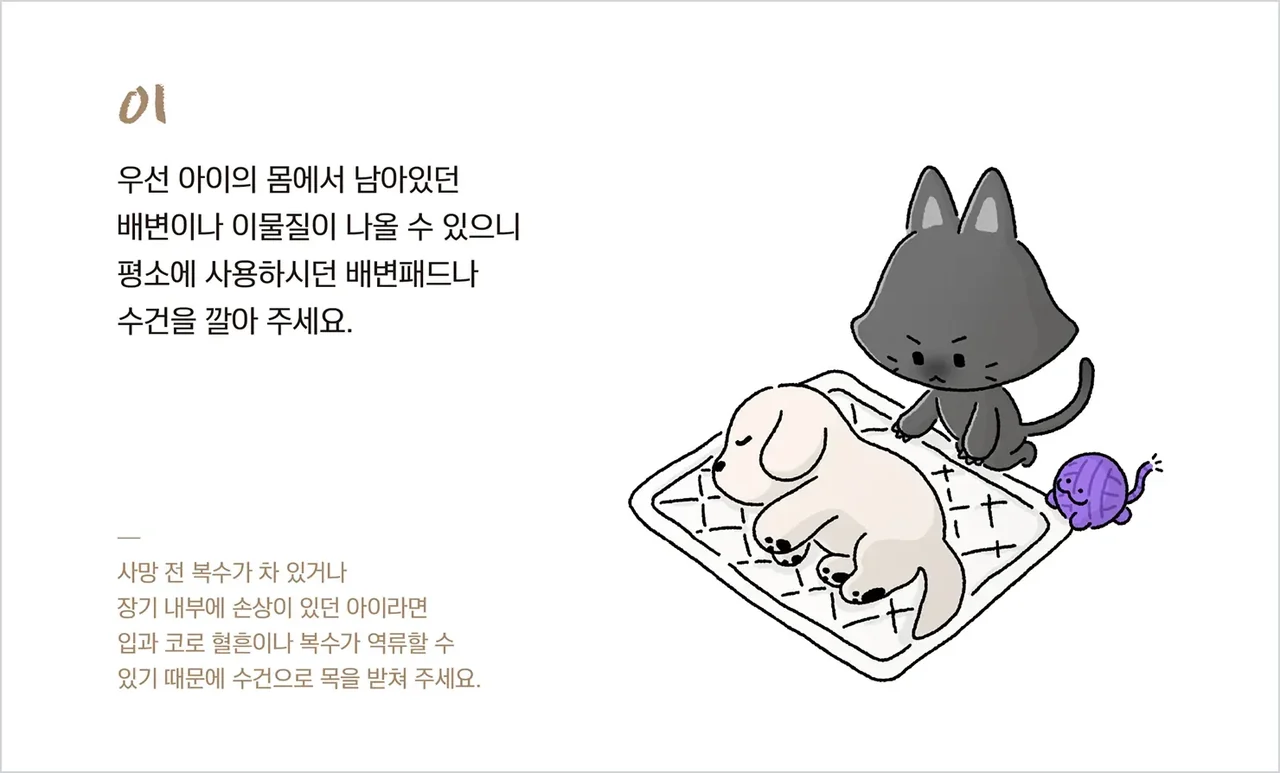 아이를 눕힐 자리에 배변패드와 수건을 깔아 두는 기초 수습 안내 그림