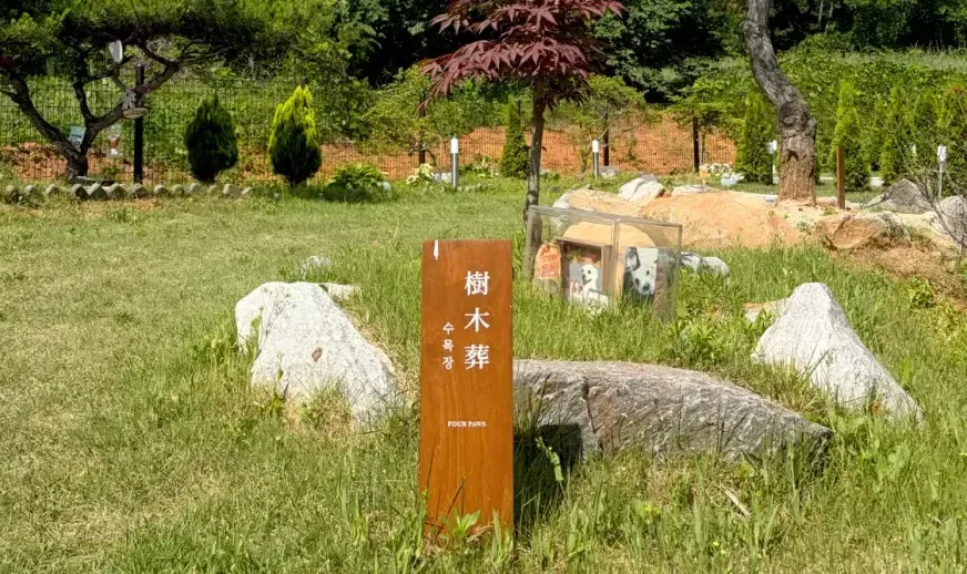 나무와 바위 명패가 어우러진 포포즈 화성 2호점 수목장