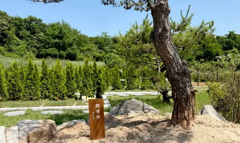 소나무 아래 모래 위에 산골장 표지가 선 화성 2호점 구역