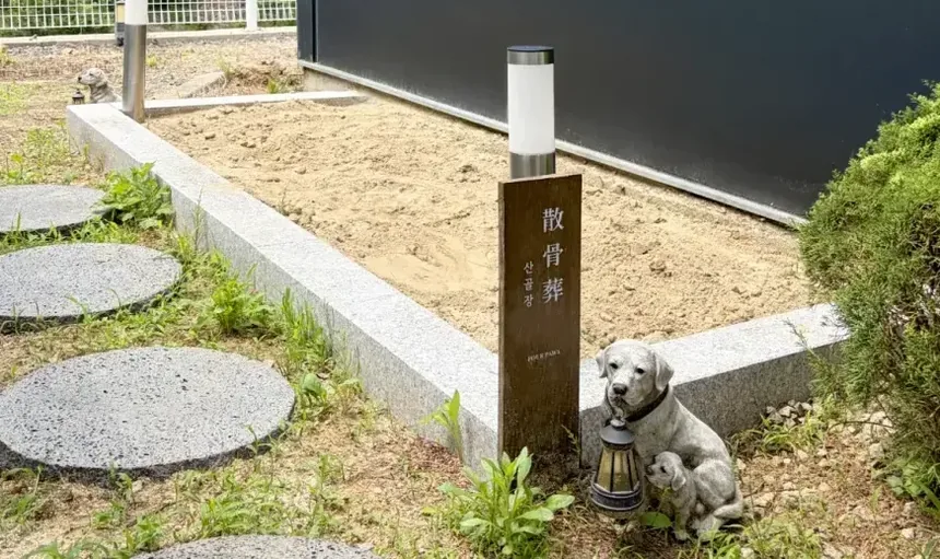 연천 마당개의 유골분을 흙으로 돌려보내는 양주점 산골장