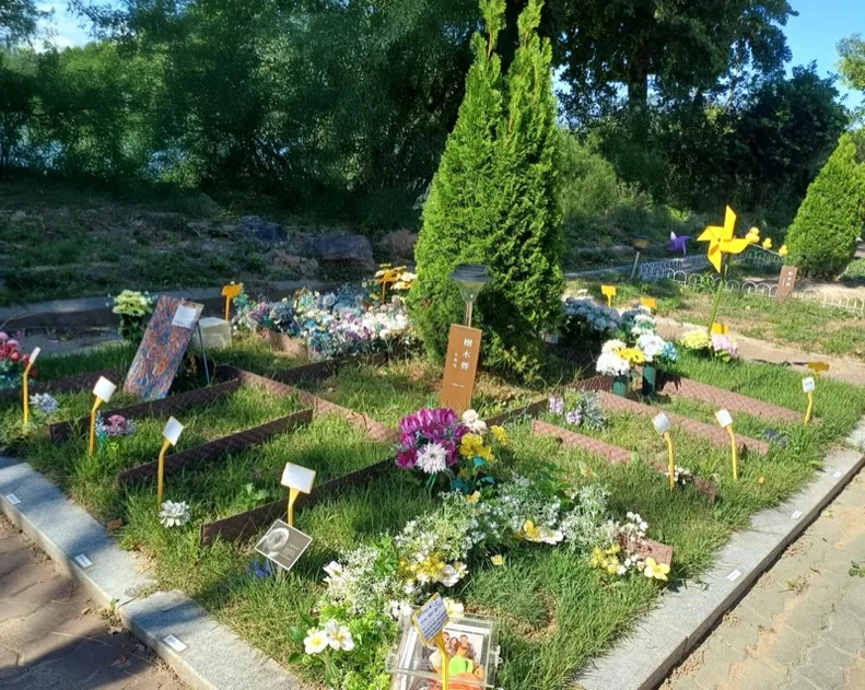 나무 곁 자리마다 이름표와 꽃이 놓인 포포즈 수목장 구역