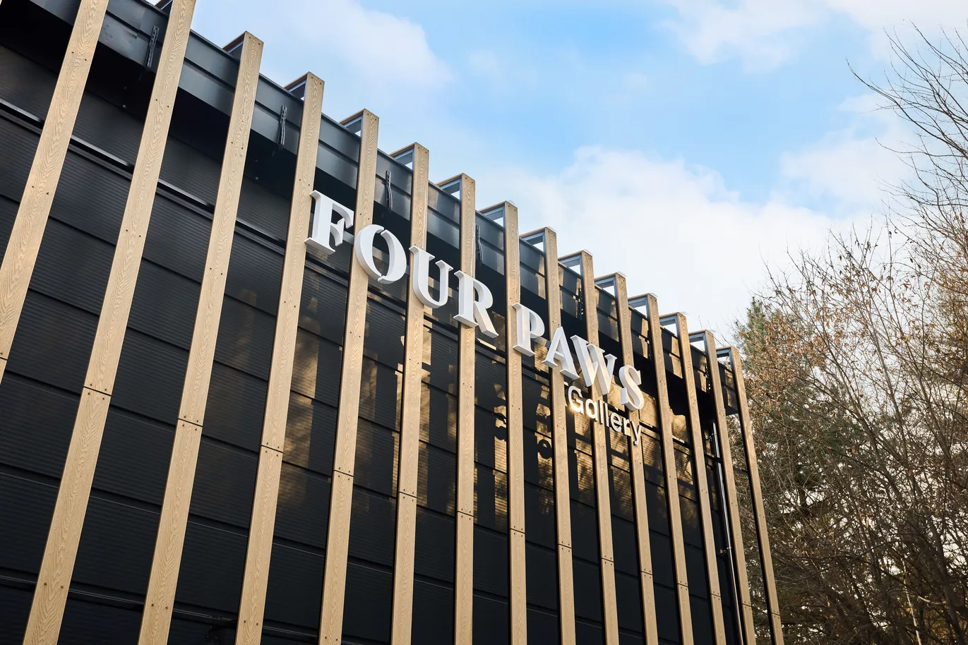 검은 외벽 앞으로 나뭇결 세로 기둥이 줄지어 서고 FOUR PAWS Gallery 흰 글씨가 걸린 건물, 오른편에 잎 진 나무들이 선 포포즈 경기 광주점