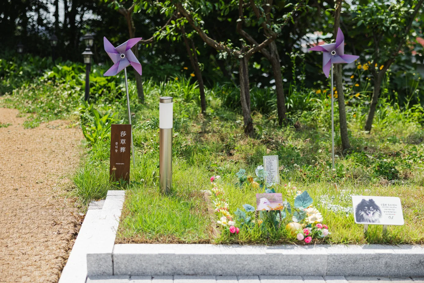보라색 바람개비 두 개와 잔디장 표지판 사이에 꽃과 사진 명패가 놓인 포포즈 화성 1호점 잔디장
