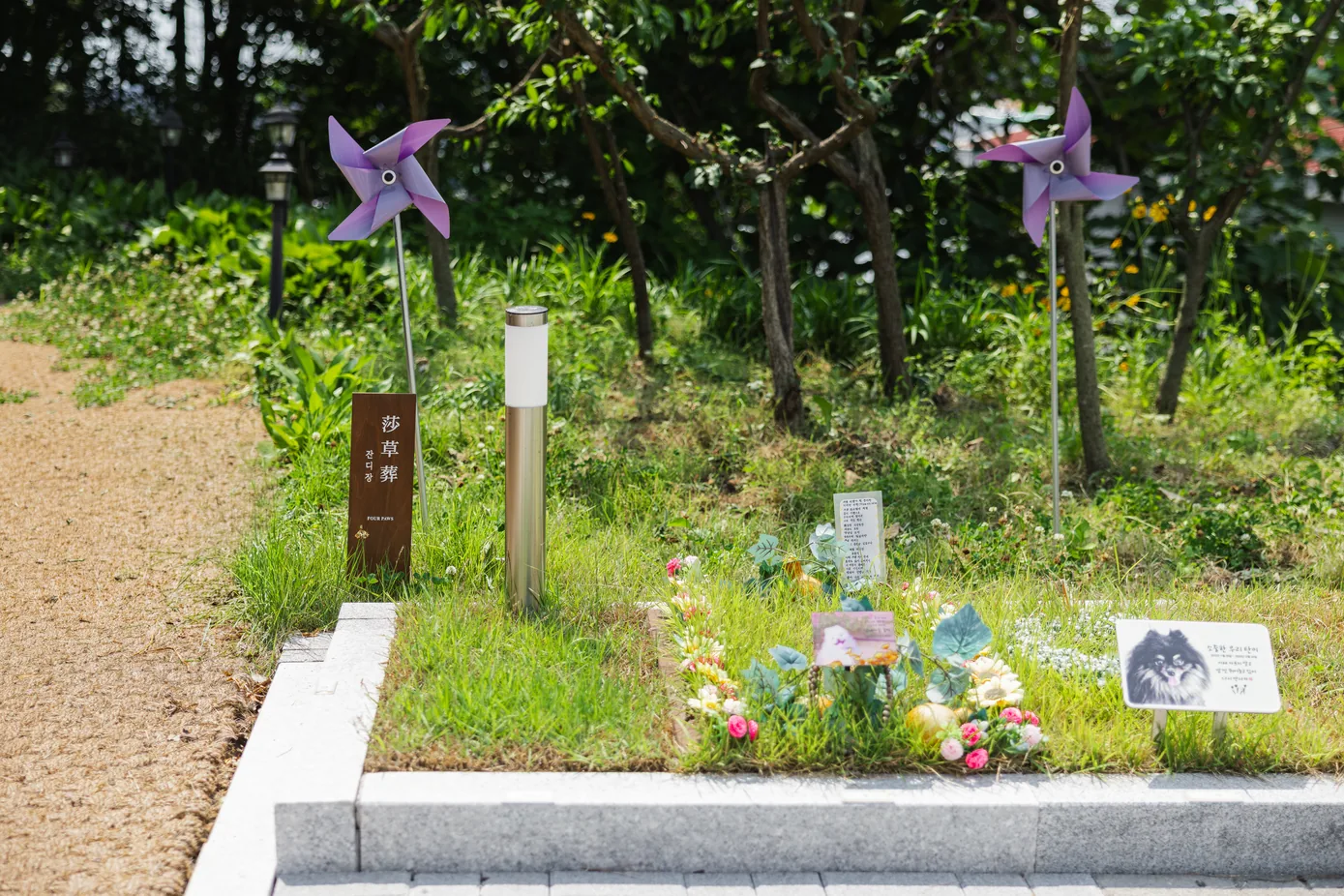 보라색 바람개비와 잔디장 나무 팻말 곁 잔디 위에 꽃 장식과 강아지 사진 카드, 글을 적은 흰 카드, 검은 강아지 사진 팻말이 놓인 화성 1호점 잔디장