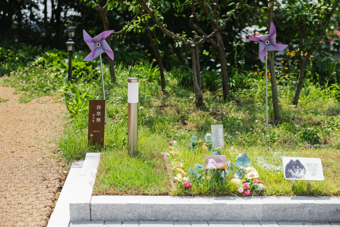 잔디장 나무 표지 옆 꽃밭에 아이 사진 카드와 보랏빛 바람개비가 놓인 포포즈 화성 1호점 잔디장