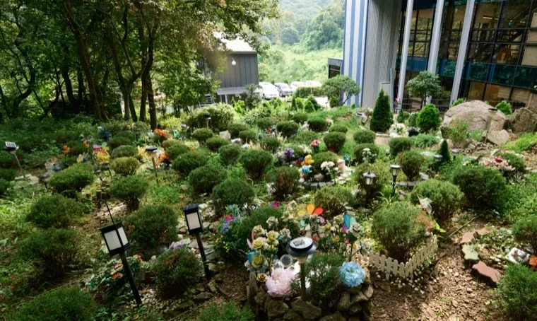 몽몽이엠파크 수목장 구역 — 같은 부지 안에 있습니다
