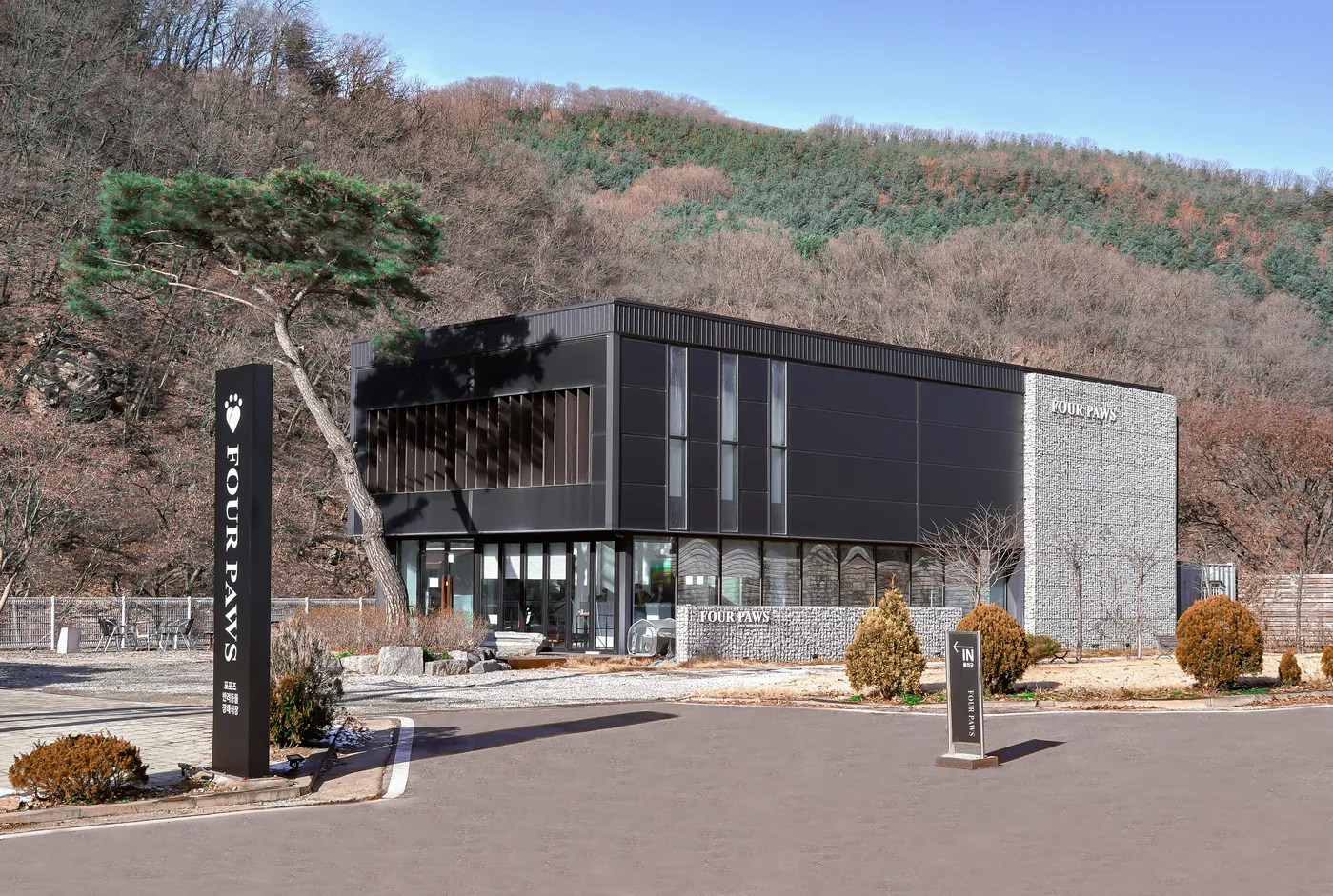 겨울 산자락 아래 검은 외벽과 돌망태 벽이 이어진 포포즈 양주점, 앞마당에 선 FOUR PAWS 세로 간판과 IN 표지판, 소나무 한 그루